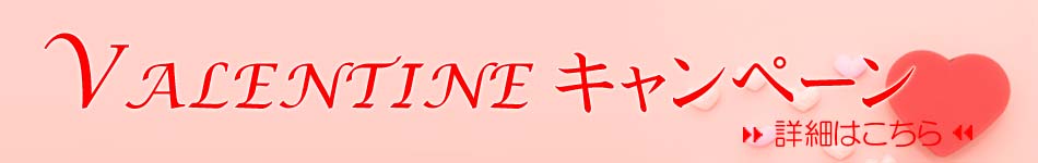 バレンタインデートキャンペーン